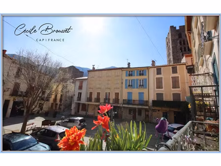 vente appartement 6 pièces 130 m² arles-sur-tech (66150)