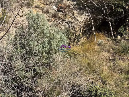 vente terrain 3000 m² à sospel (06380)  19 000 €