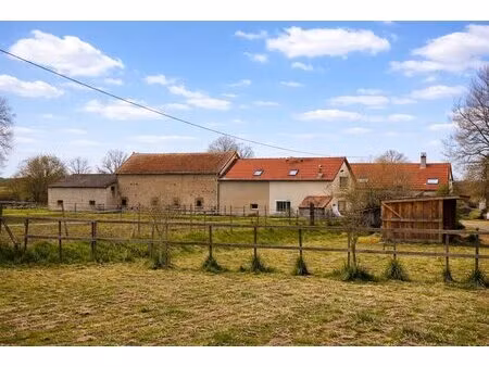 belle propriété sur 16 ha avec fort potentiel touristique et équestre