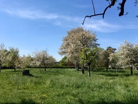 terrain d’exception