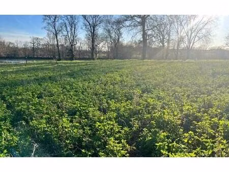 terrain constructible viabilisé à vendre