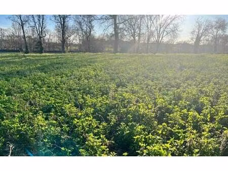 terrain constructible viabilisé à vendre