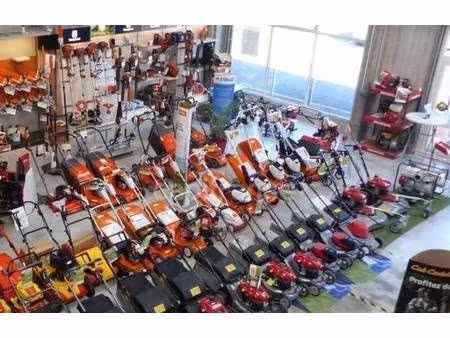 fievez rita capifrance