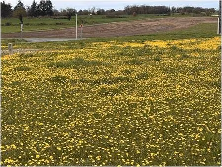 terrain constructible viabilisé à vendre