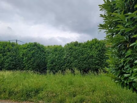 terrain constructible viabilisé à vendre