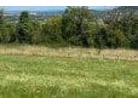 terrain constructible viabilisé à vendre