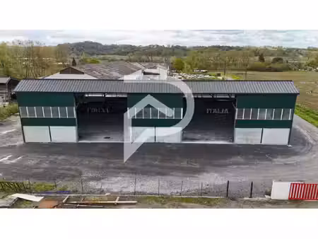 stéphane plaza immobilier peyrehorade