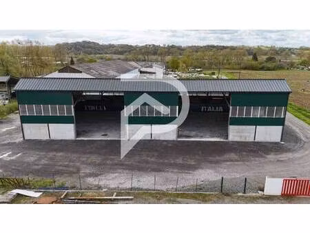 stephane plaza immobilier