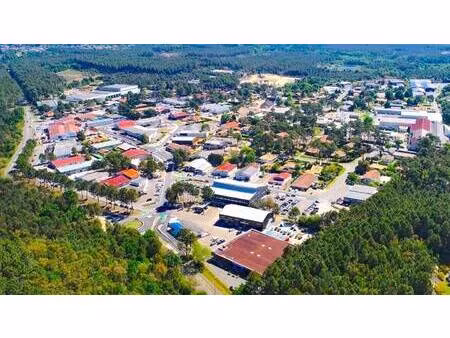 terres & ocean immobilier hossegor