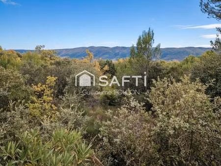 safti foulon guillaume conseiller indépendant