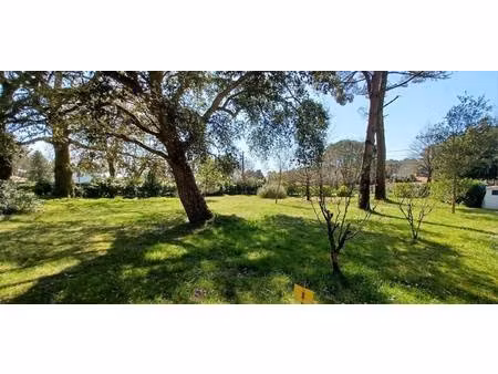 terrain constructible à vendre