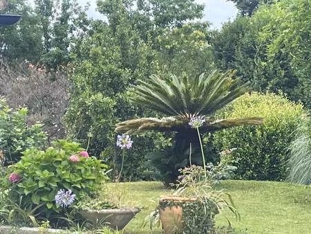 villa à vendre - première occupation