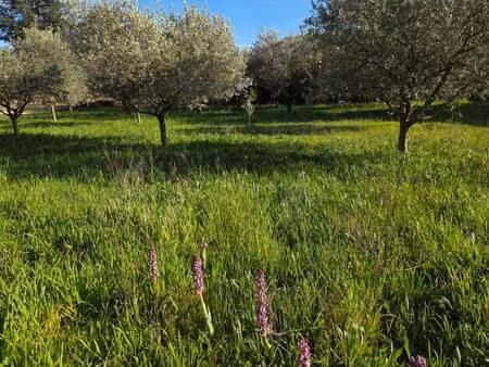 terrain constructible à vendre