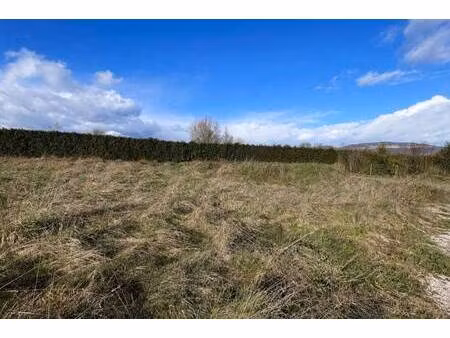 terrain constructible viabilisé à vendre