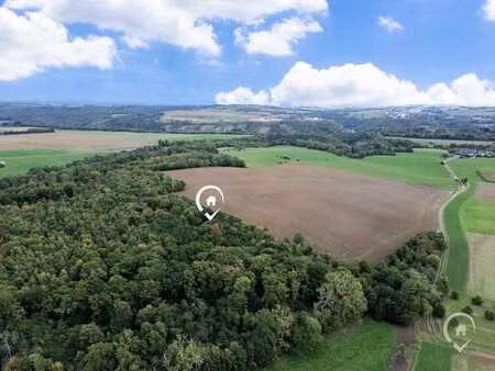 terrain boisé de 5 5 hectares à vendre à dinant