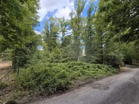 terrain se trouvant dans un environnement résidentiel boisé