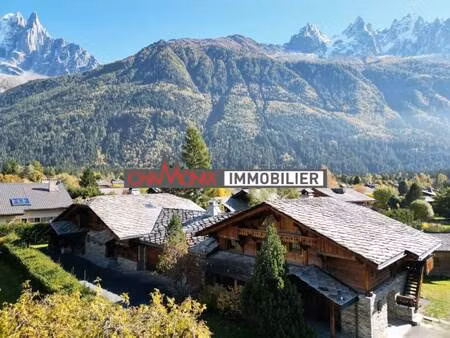 chamonix immobilier
