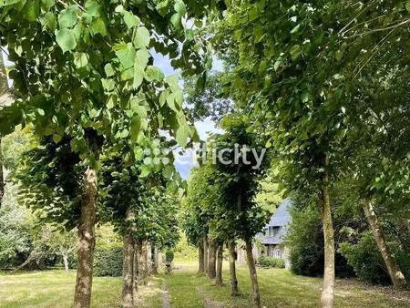 efficity nathalie lapérouse