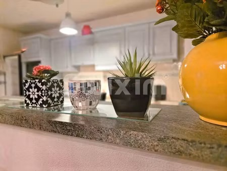 vente appartement 4 pièces 85 m² aix-les-bains (73100)