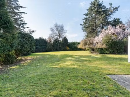 terrain à vendre à hekelgem € 395.000 (lmyl3) - engel & völkers gent centrum | zimmo