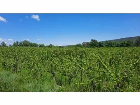 terrain champêtre/forestier à vendre