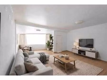 rez de chaussée 1ch. - investissement