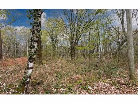 terrain sarliac-sur-l'isle m² t- à vendre  26 000 €