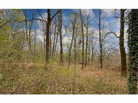 terrain sarliac-sur-l'isle m² t- à vendre  27 120 €