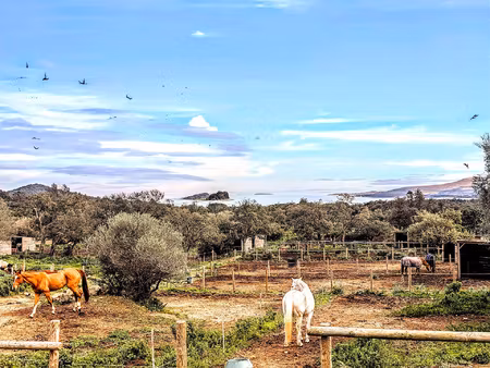 ste lucie de porto vecchio : villa de luxe avec piscine ranc