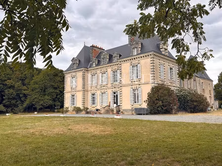 château à vendre à saint-martin-sur-oust