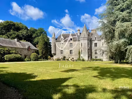 château à vendre à la chapelle-caro