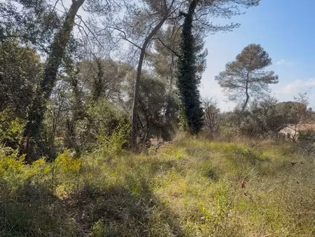 vente terrain à construire 1584 m² roquefort-les-pins (06330)