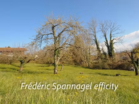 vente terrain 1430 m² à bonne (74380)  320 000 €