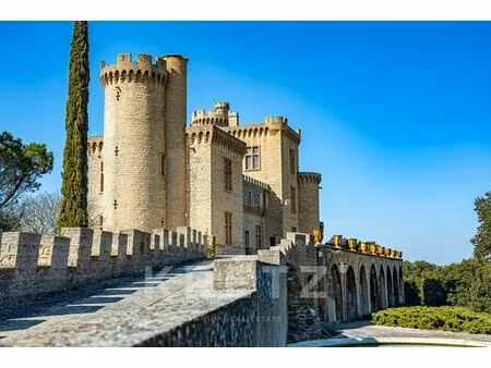 château à vendre à saint-étienne-des-sorts