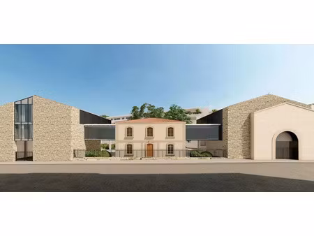vente locaux professionnels à clermont-l'herault (34800)  105 500 €