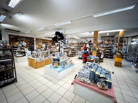 vente bureaux et commerces à la forêt-fouesnant (29940) : à vendre / 335m² la forêt-fouesn