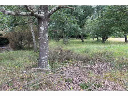 vente terrain 563 m² maureillas-las-illas (66480)