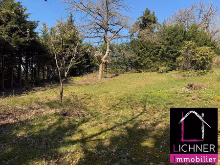 très beaun terrain 825 m²