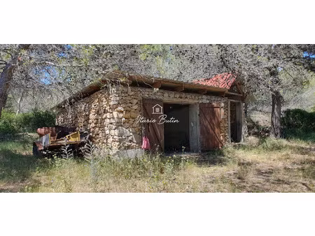 terrain de près d'1 hectare avec mazet