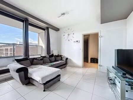 appartement 1 chambre avec terrasse