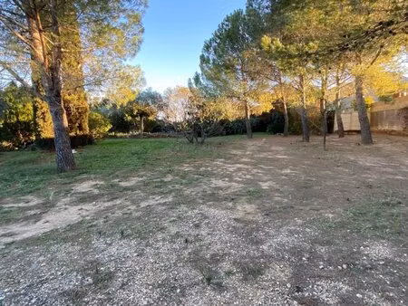 terrain constructible