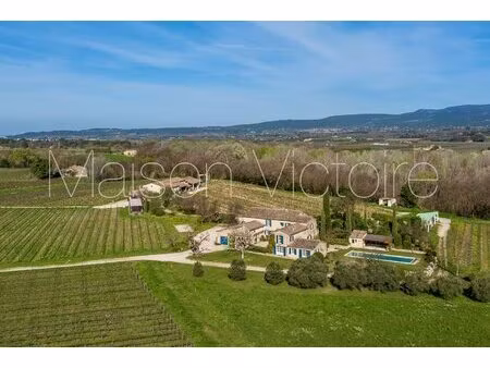domaine viticole du luberon sur 34ha avec mas.