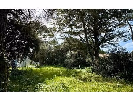 terrain saint-georges-d'oléron m² t- à vendre  230 050 €