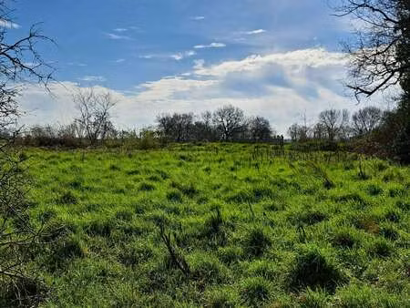 vente maison à saint-amand-sur-sèvre (79700) : à vendre / 102m² saint-amand-sur-sèvre