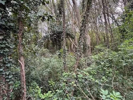 vente terrain 2170 m² pertuis (84120)