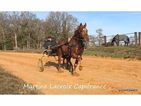 vente maison à saint-aubin-des-coudrais (72400) : à vendre / 100m² saint-aubin-des-coudrai