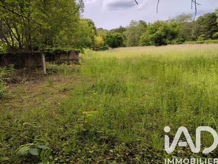 terrain à montigny-sur-loing (77690)
