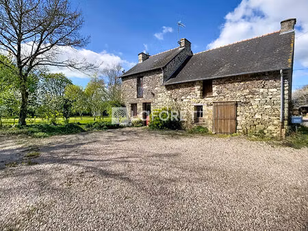 maison maxent 3 pièce(s) 46 m2