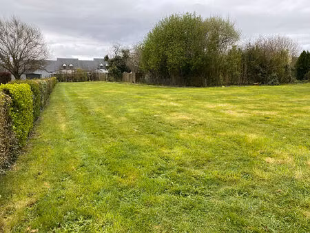 terrain plozevet 1260 m²