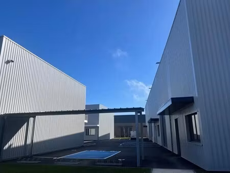 vente bureaux 293 m²